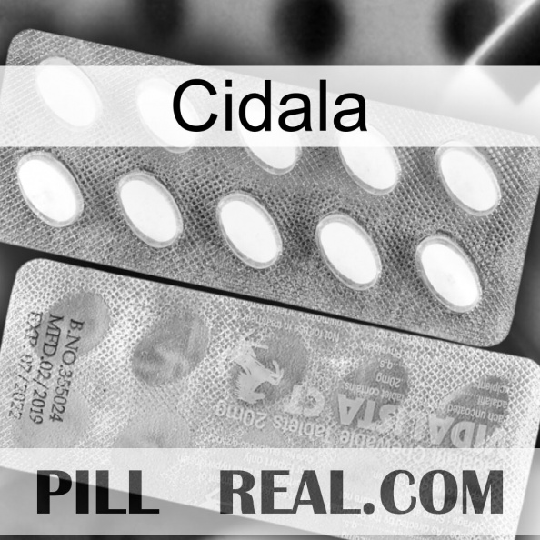 Cidala 42
